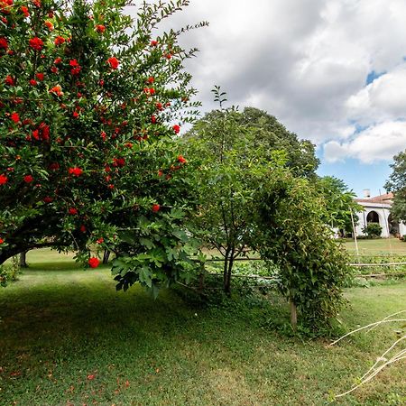 All'Ombra Del Bagolaro Taglio Di Po Bagian luar foto